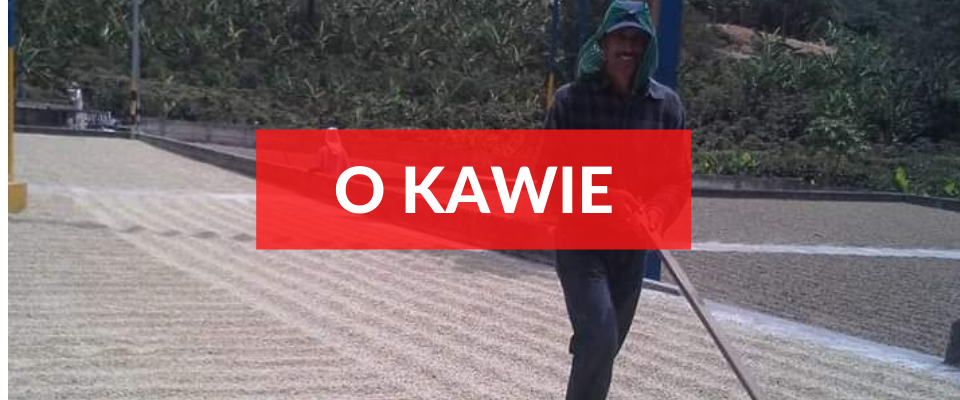Świeżo Palona kawa z całego świata