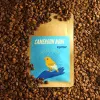 Wariant: 250 
                                                                                                                                                                                            kolbowy domowy