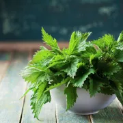 Herbata z pokrzywy. Na co pomaga?