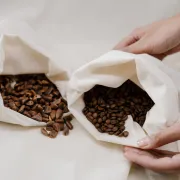 Arabica czy robusta - czym się różnią i którą wybrać?