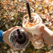 Bubble tea - proste przepisy na domowy napój na bazie herbaty z kulkami tapioki