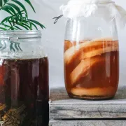 Co to grzybek herbaciany i czym jest kombucha?