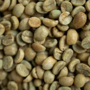 Coffea canephora to nie tylko robusta. Czym różni się od kawy arabiki i skąd jej rosnąca popularność?