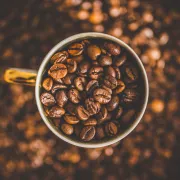 Coffea Canephora: Odkryj Świat Kawy Robusta, Conilon i Ngada