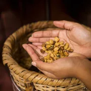 Podróże z kawą: PERU