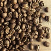 Testy: Burundi Kayanza Microlot Bourbon Washed