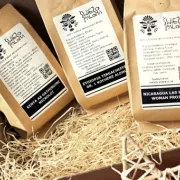 Odmiany kawy, czyli od Typica przez Bourbon po Pacas