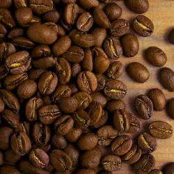Mexico Chiapas Finca Teresa waga 1000