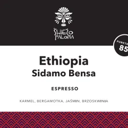 Ethiopia Sidamo Bensa Washing Station waga 1000