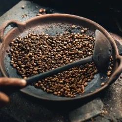 Kopi luwak - czym jest i ile kosztuje? Jak parzyć kawę z odchodów łaskuna?