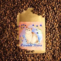 Rwanda Shyira Washed waga 1000