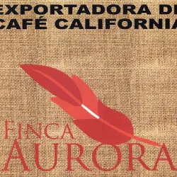 Mexico SHG Finca Aurora waga 250