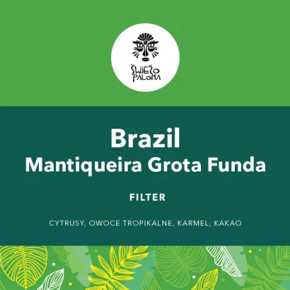 Brazil Mantiqueira Grota Funda Controled Fermentation Acaia waga 250 - miniatura 2