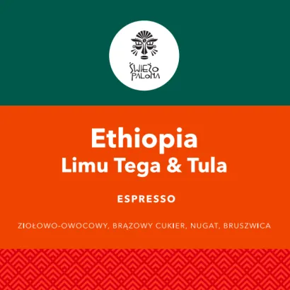 Ethiopia Limu Tega Tula Grade 1 Washed waga 250 - miniatura 2