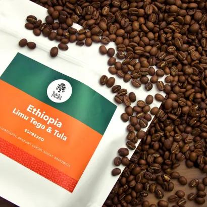 Ethiopia Limu Tega Tula Grade 1 Washed waga 250 - miniatura 1