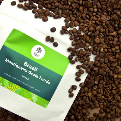 Brazil Mantiqueira Grota Funda Controled Fermentation Acaia waga 250 zmielona do french press / Aeropress - miniatura 2