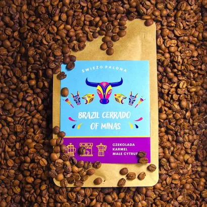 Brazil Cerrado Natural kawa ziarnista mielona waga 250 g zmielona do ekspresu kolbowego domowego - miniatura 2