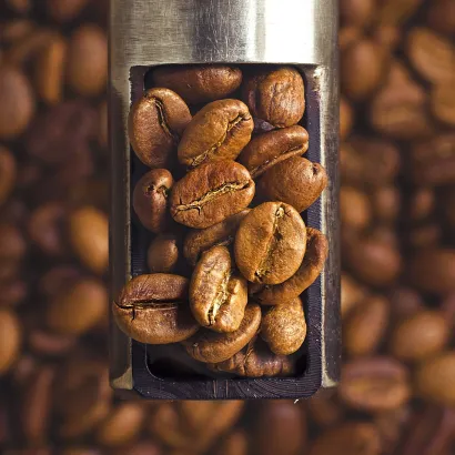Colombia Finca El Mirador Cold Fermentation Washed waga 200 zmielona do frenchpress/Aeropress - miniatura 2
