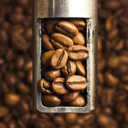 Ethiopia Yirgacheffe Reko Gr. 1 Natural waga 250 zmielona do przelewowy / drip / Chemex - miniatura 2