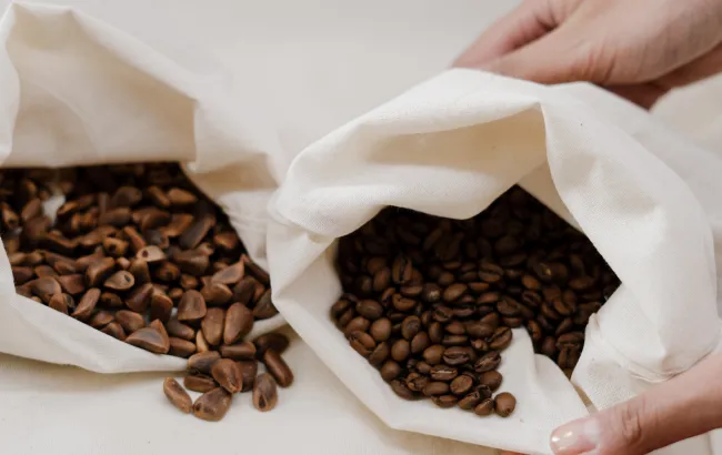 Arabica czy robusta - czym się różnią i którą wybrać?