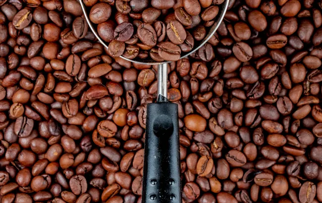 Odkryj różnorodność smaków kawy. Poznaj profil smakowy kawy Arabica i Robusta