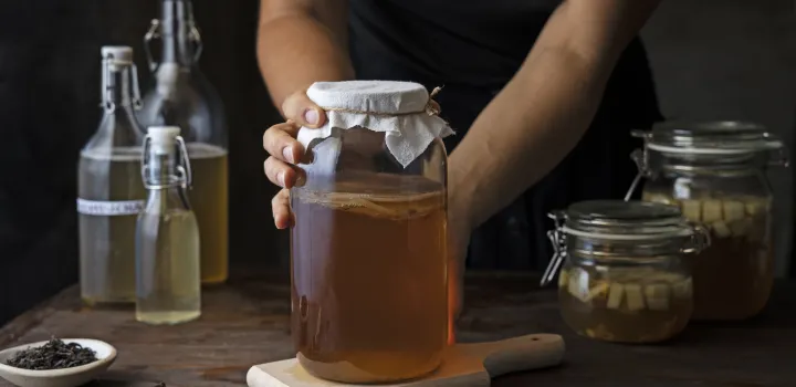 KOMBUCHA herbaciany grzybek o cudownych właściwościach