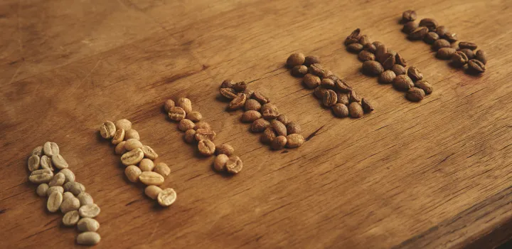 System gradingu kawy według SCA. Jak określać jakości kawy Arabica?