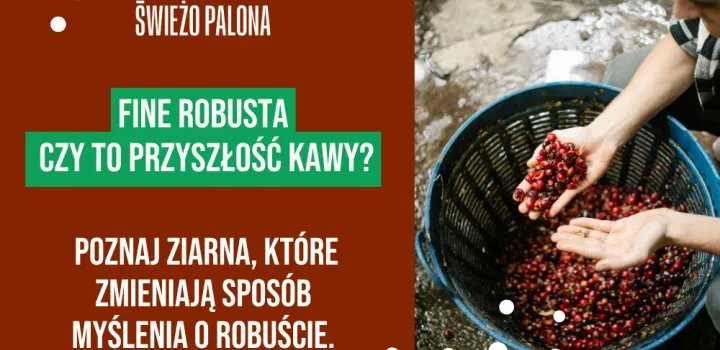 Fine Robusta – czym jest i dlaczego może zmienić przyszłość kawy?